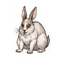 でぶウサギ